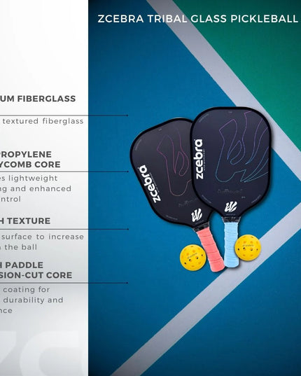 SET DE PICKLEBALL 2 PALAS 4 BOLAS