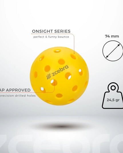 SET DE PICKLEBALL 2 PALAS 4 BOLAS