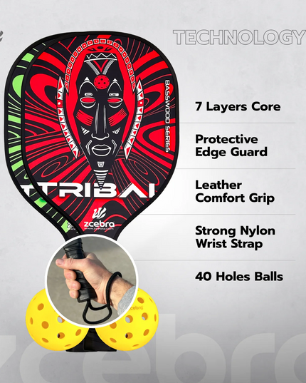 SET DE PICKLEBALL 2 PALAS 2 BOLAS